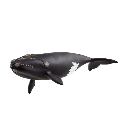 schleich 14878 Ballena franca glacial, da 3 anni, WILD LIFE - figura, 10 x 19 x 5 cm