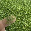 Attuslla Foglie realistiche in miniatura in 4 colori, modello di paesaggio, foglie finte per fai da te ferroviario giardino fatato simulazione vite per giardino fatato diorama scenario layout - immagine 6