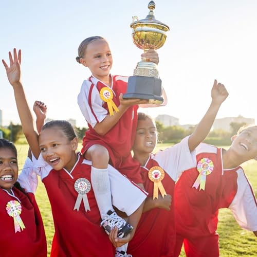 9 Pezzi Rosette per Vincitori, 4 Colori Coccarde Premiazioni, Riutilizzabile Nastri Medaglia, Nastro Premio con Matite Acquerellabili e Adesivi Diamantati per Eventi Sportivi, Festival - immagine 6