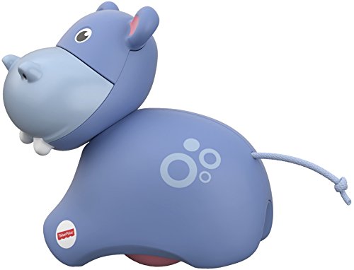 Fisher Price- Animaletti Roller Assortiti, Multicolore, FRR62 - immagine 6