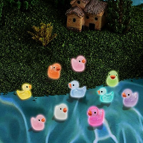Ruikdly Mini anatre luminose, 100 pezzi, mini anatre colorate, piccole anatre colorate per acquario, giardino in miniatura, casa delle bambole, decorazioni per vaso fai da te - immagine 7