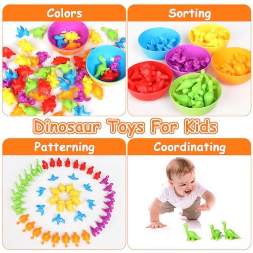 SAMISO Giochi Montessori 2 3 4 Anni,48 Pezzi Montessori Giocattolo Educativo,Conteggio degli Dinosauro con Tazze di ordinamento abbinate,Gioco Educativi Colori Ordinamento Giocattoli - immagine 5