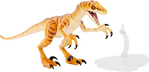 Jurassic World Amber Collection Tiger Velociraptor - Action figure di dinosauro da 15,2 cm, dettagli autentici del film, articolazioni mobili e espositore per figure, regalo da collezione dagli 8 anni - immagine 6