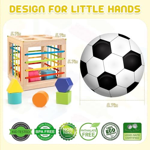Cubo di Selezione di Forma in Legno, Giocattoli Montessori per 1 Anno, 8 Pezzi di Forme multisensoriali Colorate, Giocattolo di apprendimento per Neonati e Ragazzi, Regalo per Il Primo Compleanno - immagine 7