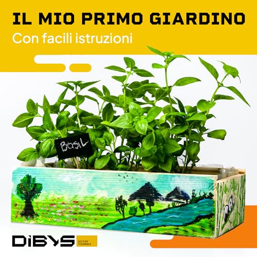 DIBYS Kit Giardinaggio Bambini | Set Completo per il Giardinaggio con Semi di Fiori, Attrezzi in Legno, Terra, Colori e Scatola da Decorare | Idea Regalo Creativa | Set di Piante | Mini Giardino - immagine 3