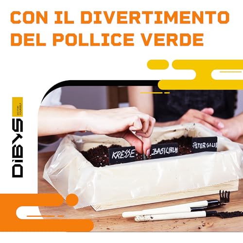 DIBYS Kit Giardinaggio Bambini | Set Completo per il Giardinaggio con Semi di Fiori, Attrezzi in Legno, Terra, Colori e Scatola da Decorare | Idea Regalo Creativa | Set di Piante | Mini Giardino - immagine 4