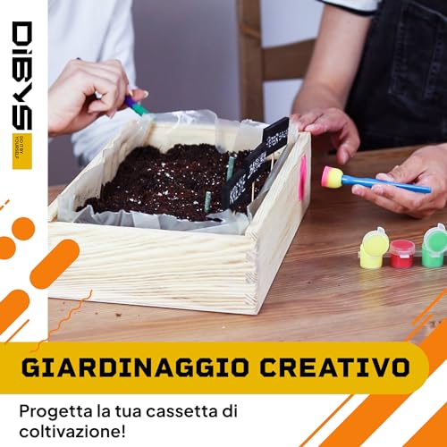 DIBYS Kit Giardinaggio Bambini | Set Completo per il Giardinaggio con Semi di Fiori, Attrezzi in Legno, Terra, Colori e Scatola da Decorare | Idea Regalo Creativa | Set di Piante | Mini Giardino - immagine 5