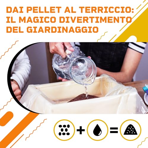 DIBYS Kit Giardinaggio Bambini | Set Completo per il Giardinaggio con Semi di Fiori, Attrezzi in Legno, Terra, Colori e Scatola da Decorare | Idea Regalo Creativa | Set di Piante | Mini Giardino - immagine 7