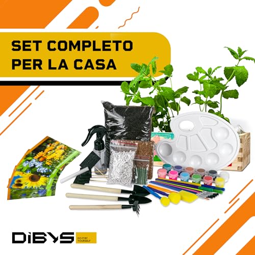 DIBYS Kit Giardinaggio Bambini | Set Completo per il Giardinaggio con Semi di Fiori, Attrezzi in Legno, Terra, Colori e Scatola da Decorare | Idea Regalo Creativa | Set di Piante | Mini Giardino - immagine 8