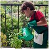 PLANETE PLANTE - Annaffiatoio da Giardino per Bambini - Attrezzi da Giardinaggio - 170518 - Metallo - Giardino - Natura - Pianta - Fiori - Gioco per Bambini - A partire dai 3 anni - immagine 3