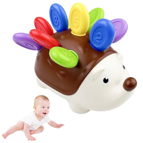 Fervalyna Giochi Montessori 18 Mesi, Giochi Educativi Regalo, Gioco Educativo per Bambini e Bambine di 2 3 Anni, Riccio Motore Fine Giocattoli Bambini per Imparare Matematica e Colori