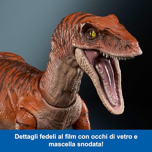 Mattel Jurassic World Hammond Collection, Dinosauro Atrociraptor Tiger, dettagli autentice e articolazioni, JDJ09 - immagine 5