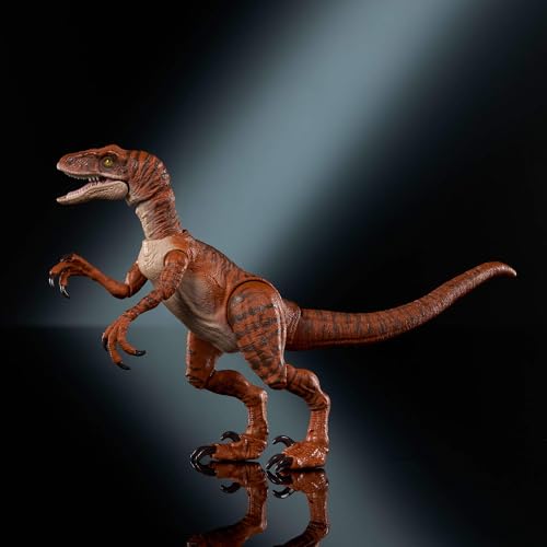 Mattel Jurassic World Hammond Collection, Dinosauro Atrociraptor Tiger, dettagli autentice e articolazioni, JDJ09 - immagine 7