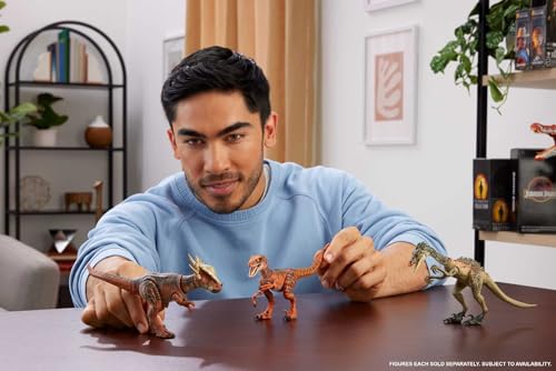 Mattel Jurassic World Hammond Collection, Dinosauro Atrociraptor Tiger, dettagli autentice e articolazioni, JDJ09