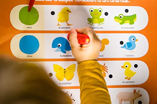Nathan - Baby Electro Mon Imagier - Scopri forme e colori - Gioco educativo elettronico - 1 penna sonora e luminosa inclusa - Per bambini dai 2 anni - immagine 7